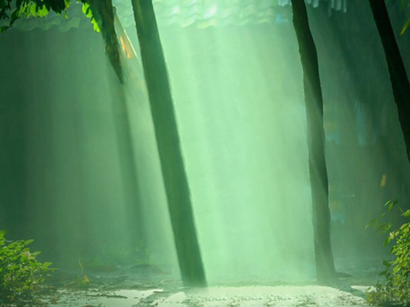 全世界最古老的语言-历史报告浪花传奇