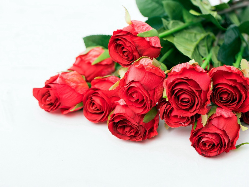 意大利前总理莫罗遭绑架之谜-破译近代世界政坛悬案之谜