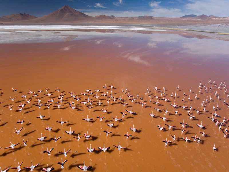 密特朗枪击案之谜-破译近代世界政坛悬案之谜