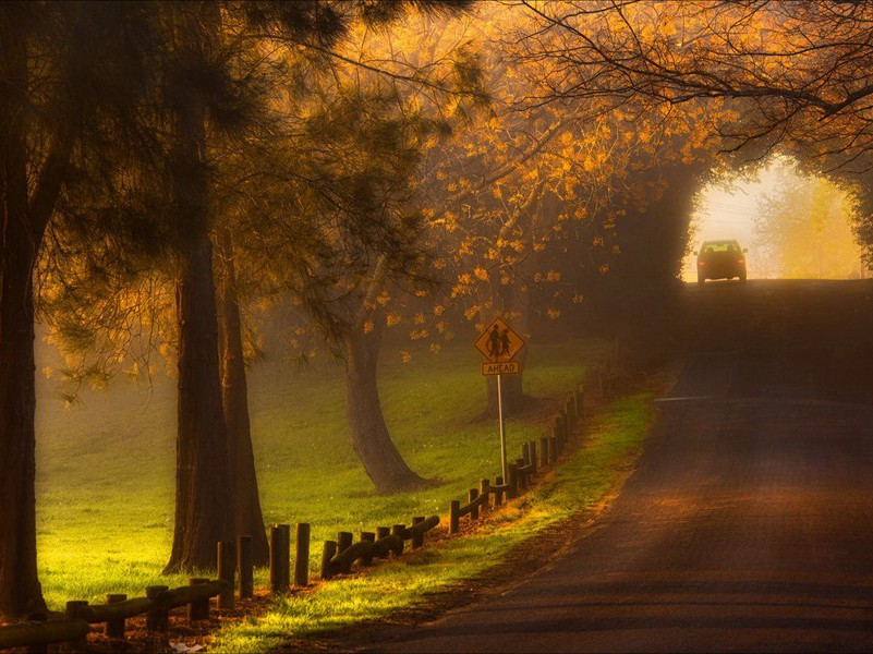 印度前总理拉吉夫.甘地遇刺之谜-破译近代世界政坛悬案之谜