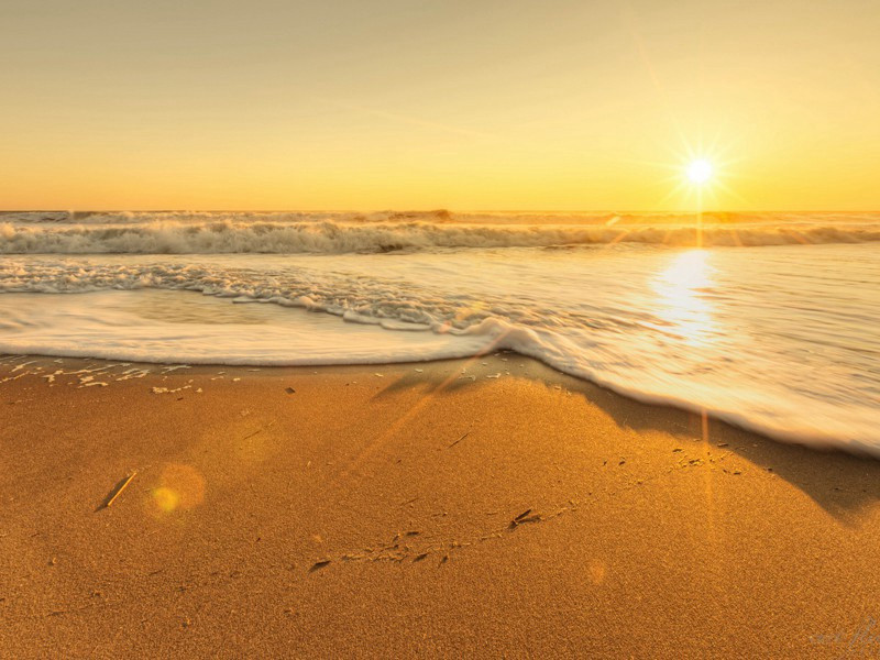 戈林自杀之谜-破译近代世界政坛悬案之谜