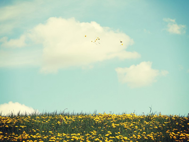 埃及艳后死亡之谜-中世纪政坛悬案全破译