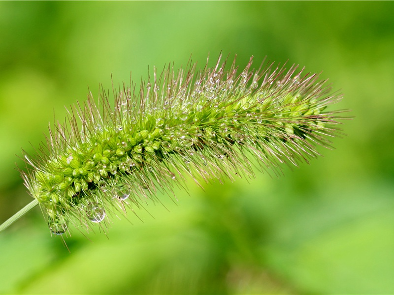 汉谟拉比制定法典之谜-中世纪政坛悬案全破译