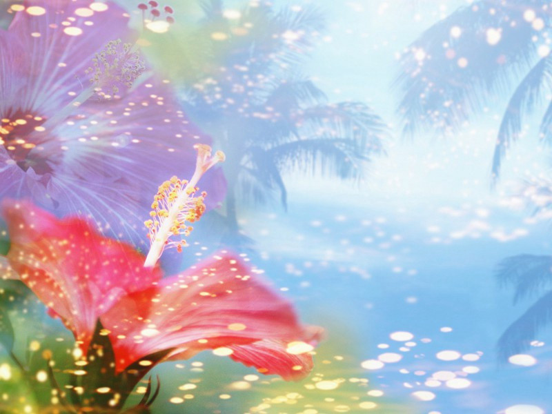 图腾加满王死因之谜-中世纪政坛悬案全破译