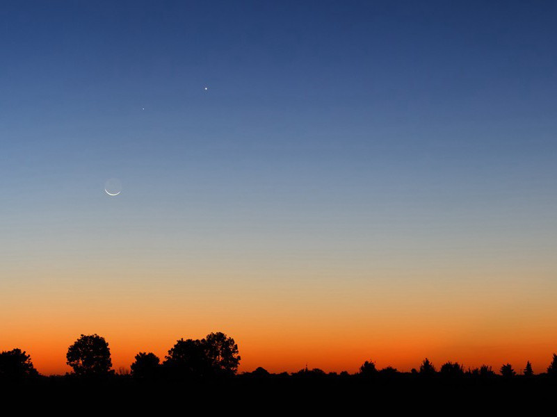 冈比西斯死亡之谜-中世纪政坛悬案全破译