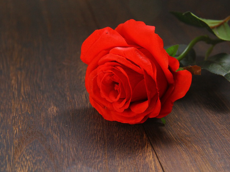 为爱献身的罗马巨头安东尼之谜-中世纪政坛悬案全破译