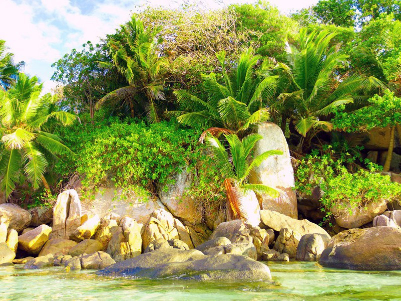 韦斯巴芗的“贪婪”之谜-中世纪政坛悬案全破译