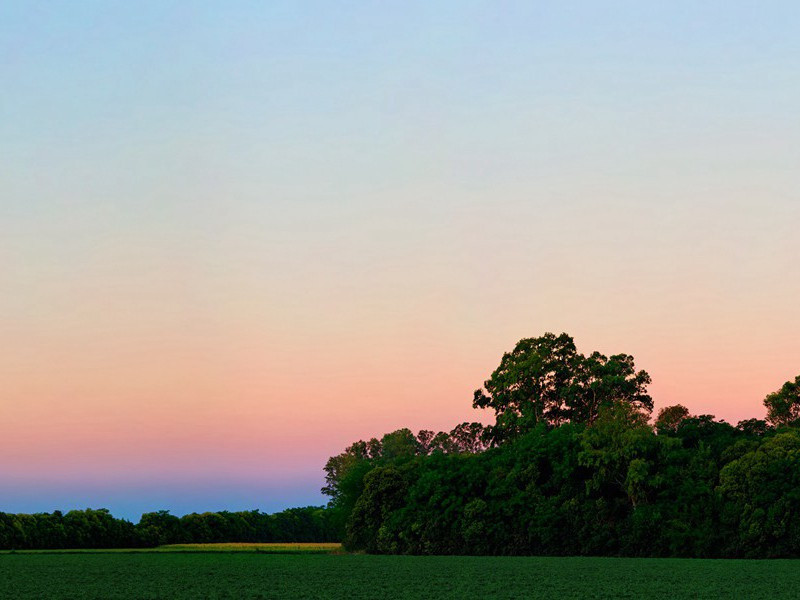 图密善仅仅是个暴君吗-中世纪政坛悬案全破译