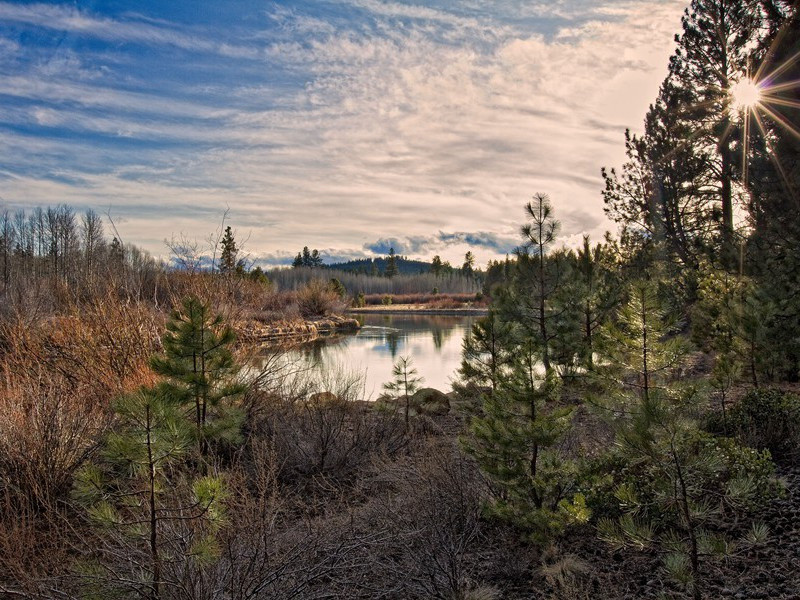阿尔弗烈德大帝为何令人尊敬-中世纪政坛悬案全破译