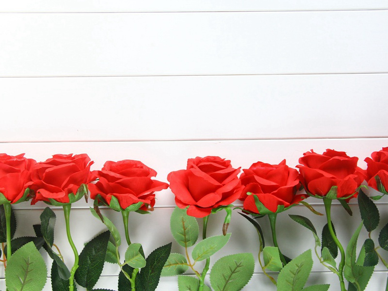 乌尔班二世为何要发动十字军东征-中世纪政坛悬案全破译