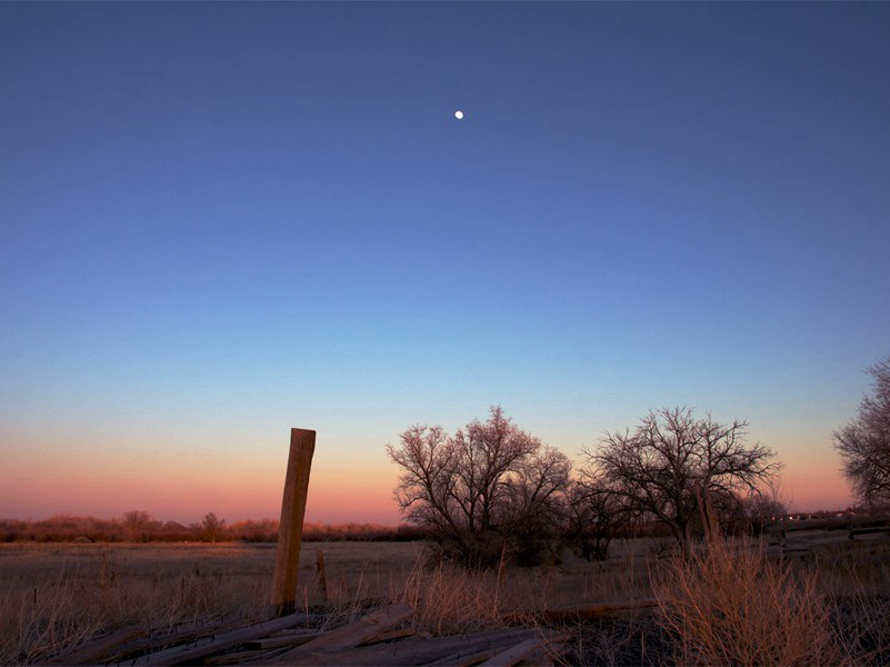 曼萨.穆萨为何被称为“黄金王”-中世纪政坛悬案全破译