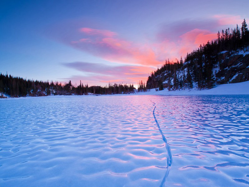 茵内斯为何死后才戴上王冠-中世纪政坛悬案全破译