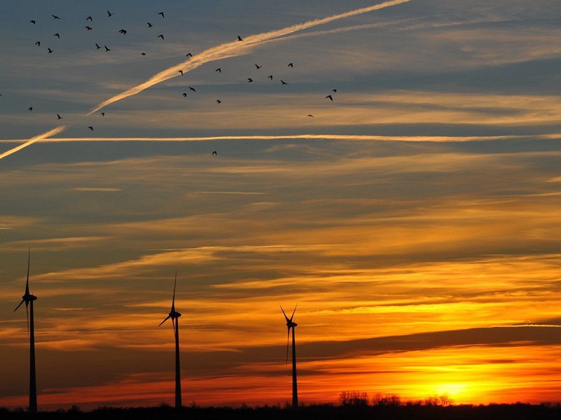 伊凡雷帝是否精神失常-中世纪政坛悬案全破译