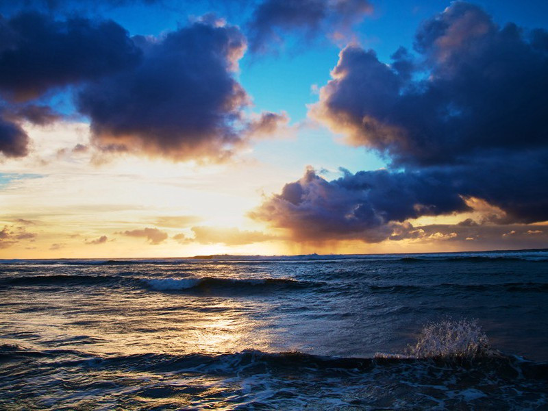 伊凡雷帝暴死之谜-中世纪政坛悬案全破译