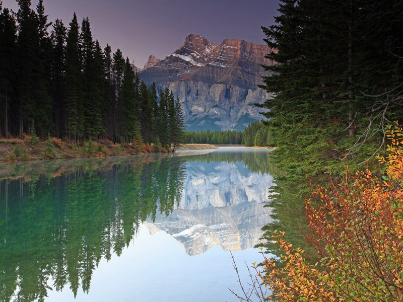 叶卡捷琳娜二世杀夫之谜-中世纪政坛悬案全破译