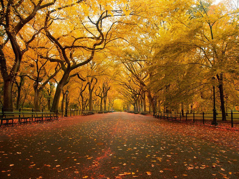 罗伯斯庇尔因何被送上断头台-中世纪政坛悬案全破译