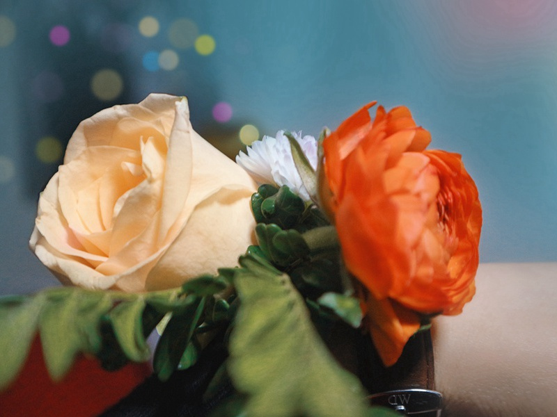 谁是杀害拿破仑的凶手-中世纪政坛悬案全破译