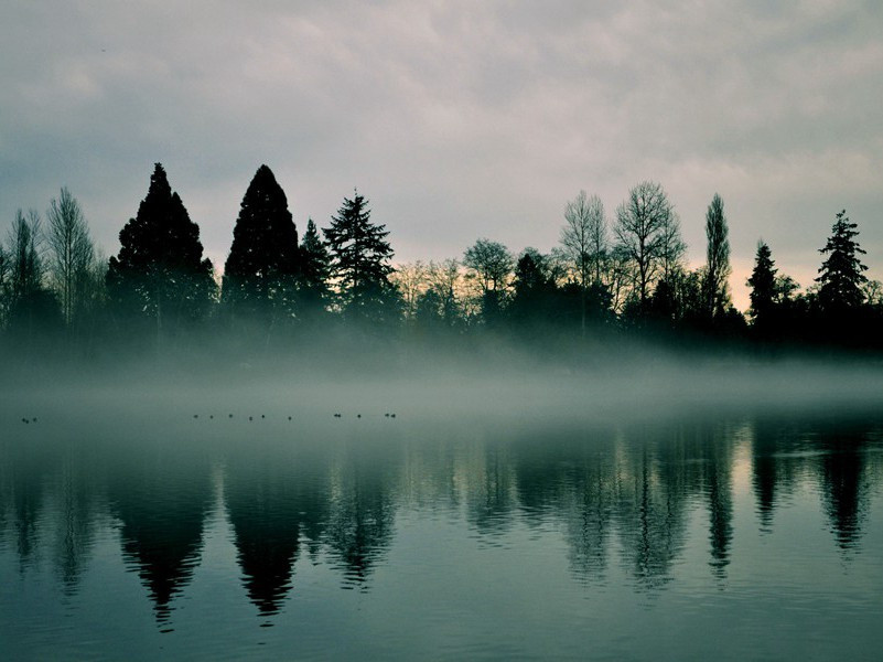 洛克菲勒是“吸血鬼”还是“善人”-中世纪政坛悬案全破译