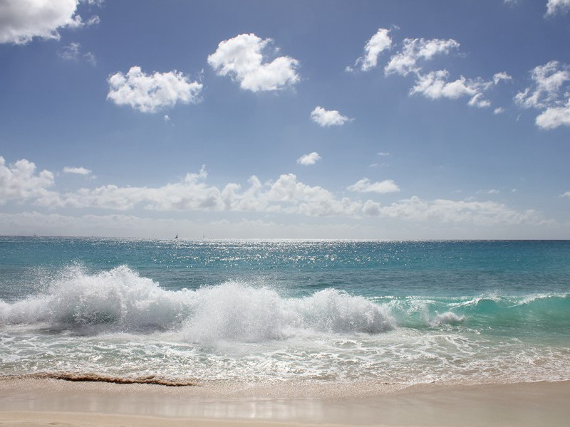 彼得三世死亡之谜-中世纪政坛悬案全破译