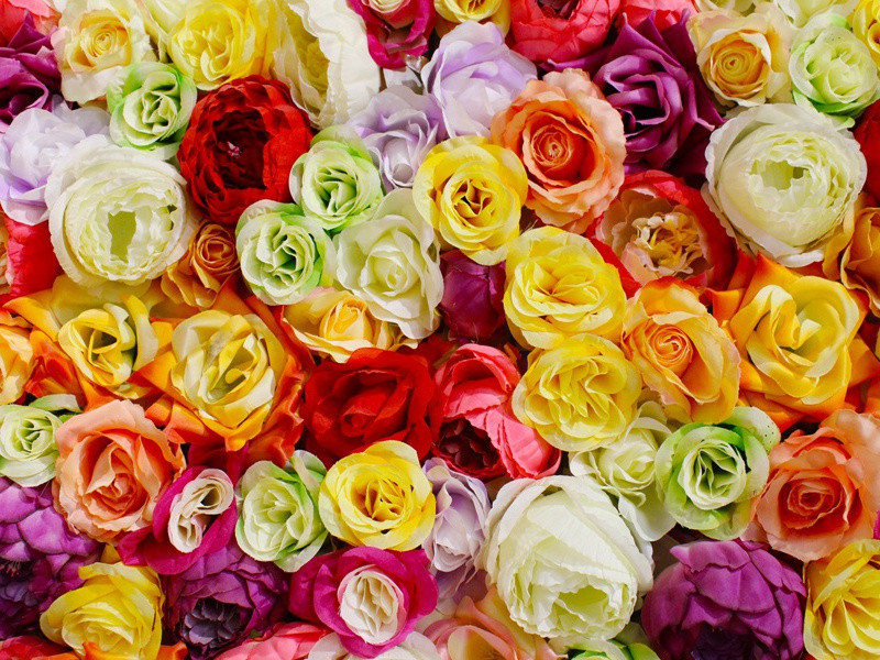 圣马丁与玻利瓦尔密谈之谜-中世纪政坛悬案全破译