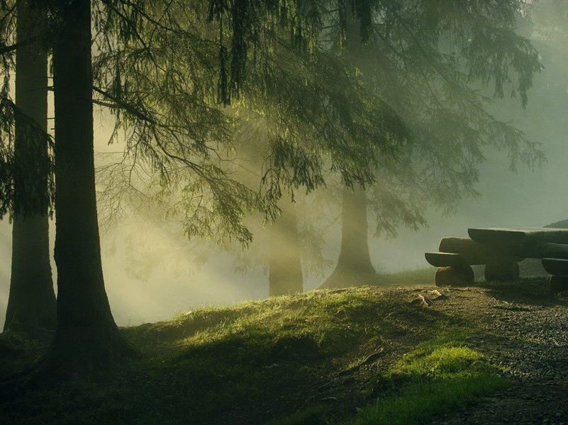 威廉二世暴死之谜-中世纪政坛悬案全破译