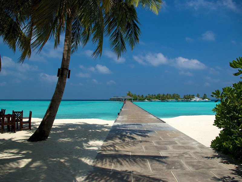 建立新都-拉美西斯二世