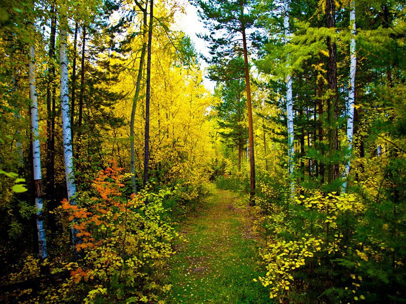 宏伟的建筑-拉美西斯二世