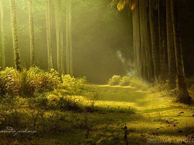 娜菲尔塔里的陵墓-拉美西斯二世