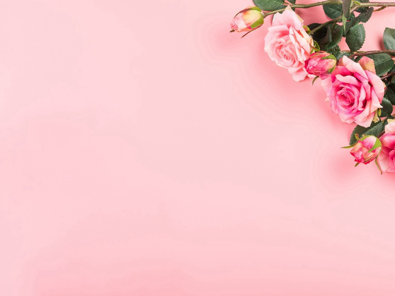 永远年轻-拉美西斯二世