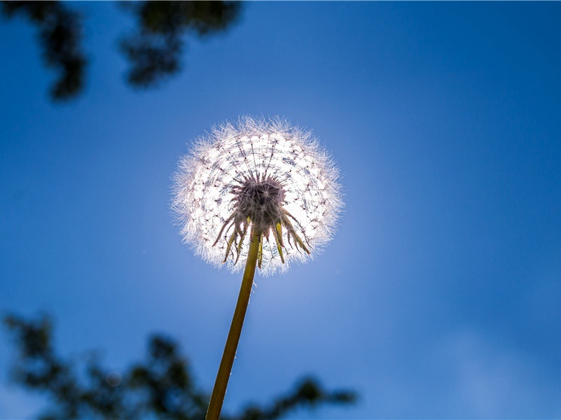 吴哥窟之谜-东南亚文化之谜