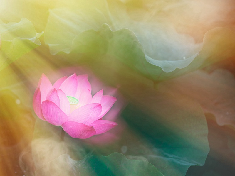 一个与巫婆妄想症斗争的耶稣会修士-以上帝的名义目睹过去的残酷