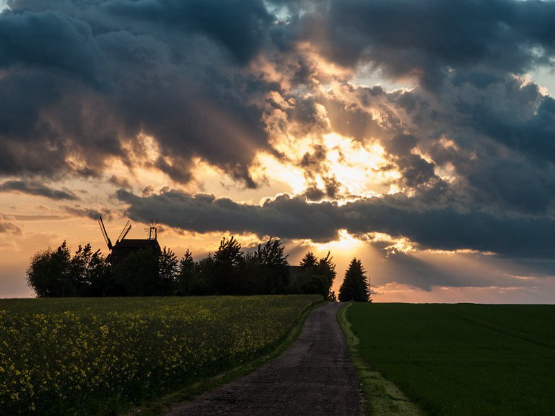 错误的决定-玛丽.斯图亚特事件