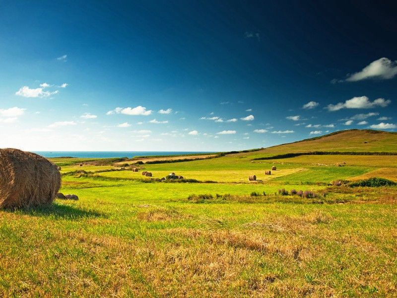 不是最后的结局-玛丽.斯图亚特事件