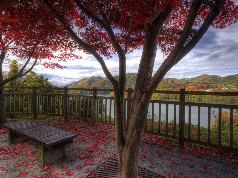 沙漠中的的木乃伊-神秘的木乃伊