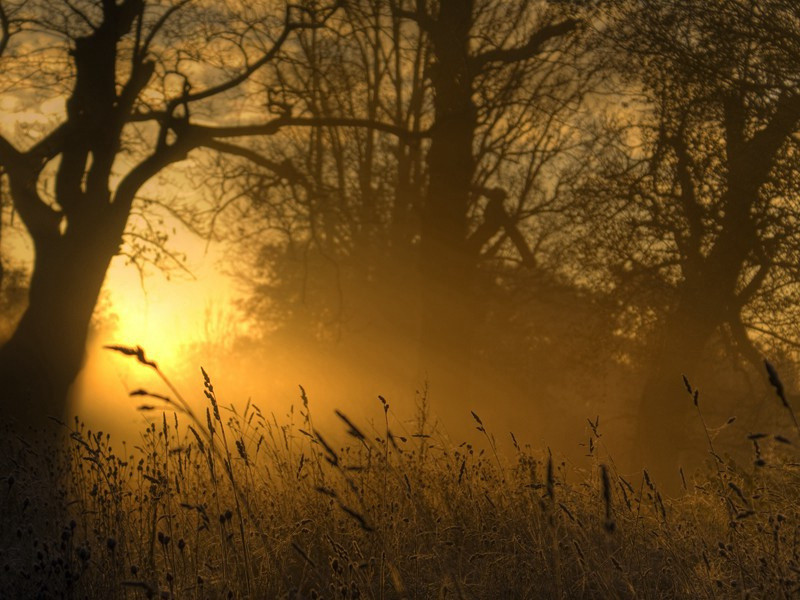 无意中发现金字塔地道网-破解金字塔之谜