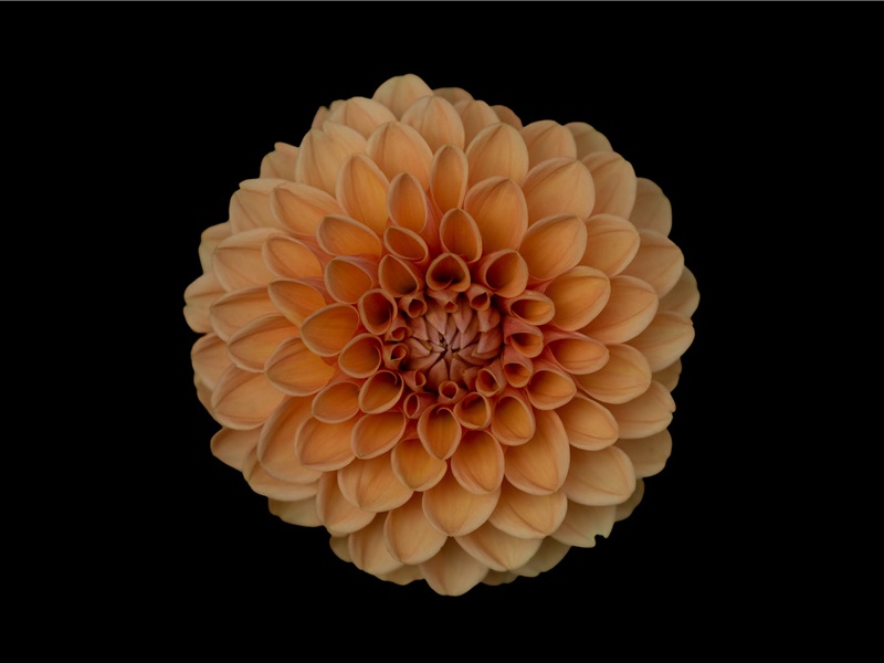 史前科技文化之秘-东南亚文化之谜