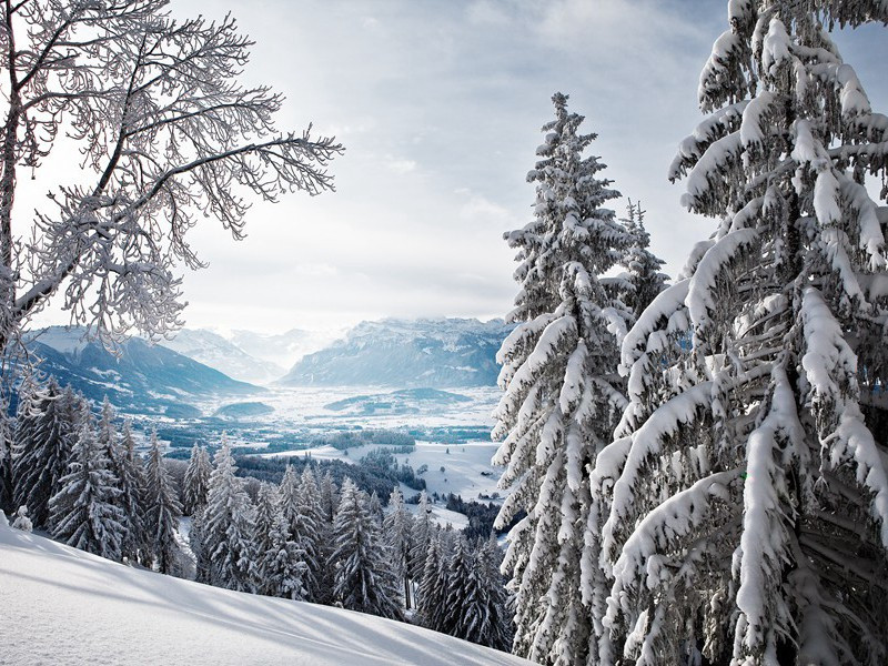 加老人发明工具称破解金字塔搬运谜-破解金字塔之谜