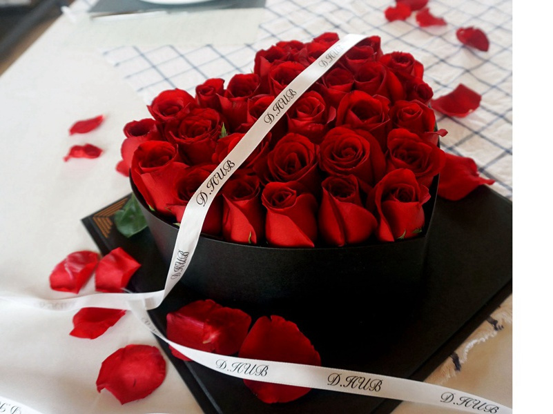 破解法老的咒语-破解金字塔之谜