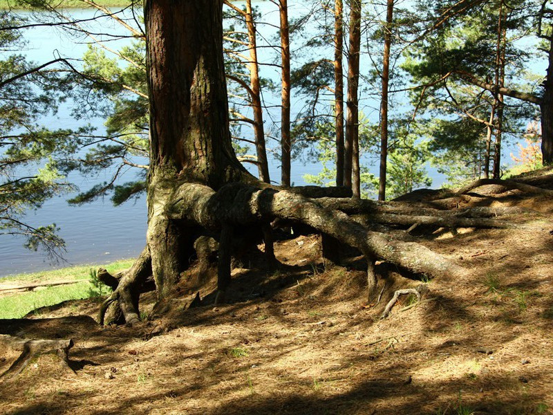 胡夫金字塔的精妙组合-破解金字塔之谜