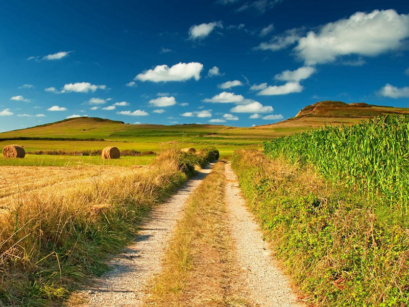 玛雅人的神秘历法-破解金字塔之谜