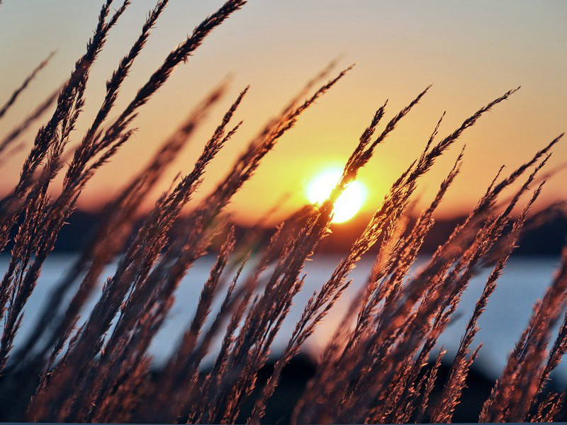 “皇都”及墓地-古墓地神奇魔力