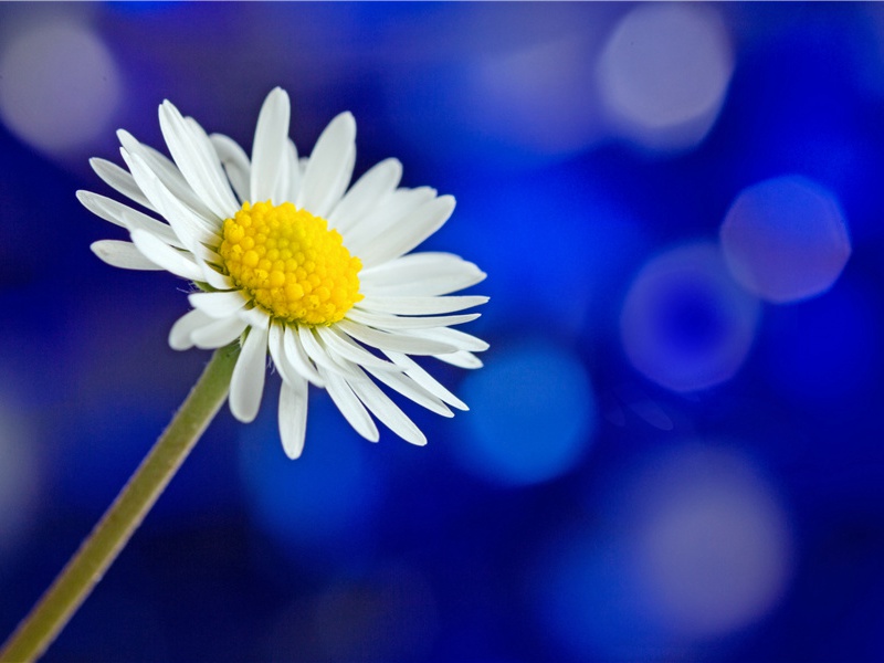 开国之王赵佗墓-古墓地神奇魔力