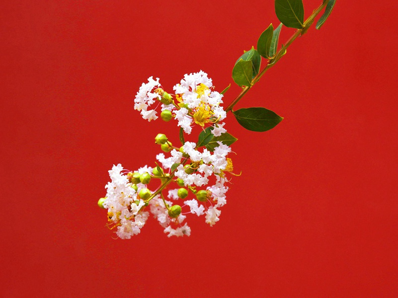 楼兰文字之谜-古墓地神奇魔力