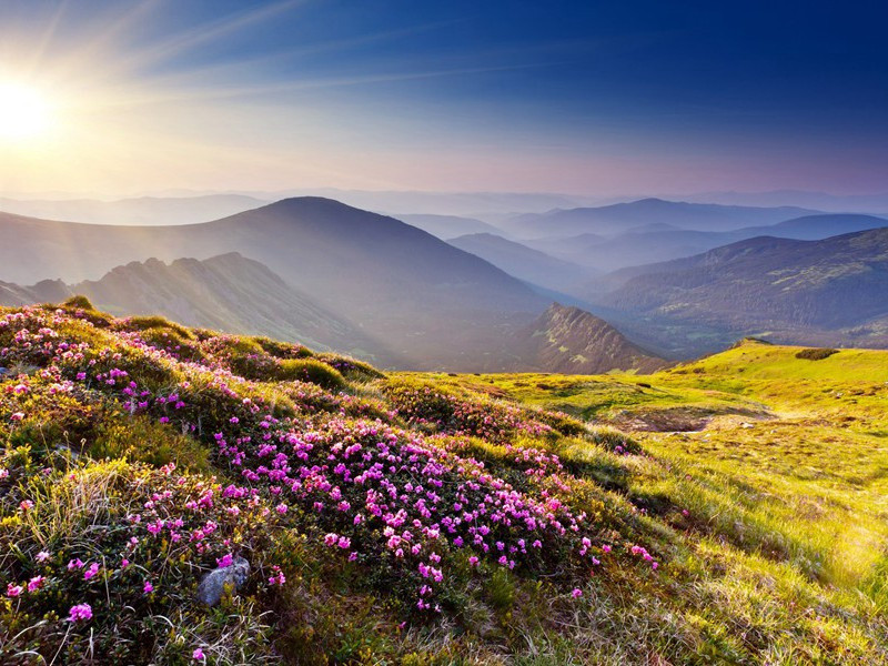 悬念笼罩万年古墓-神奇的古代墓葬