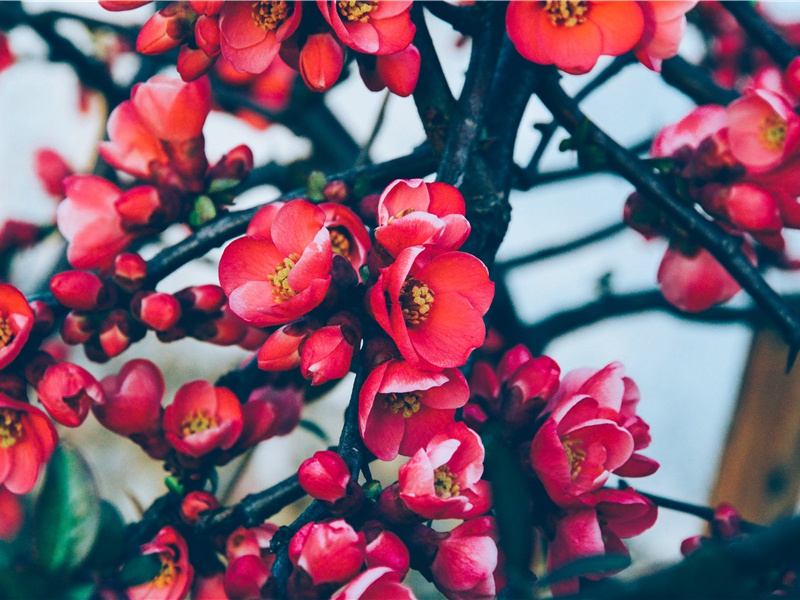 秦始皇陵-神奇的古代墓葬