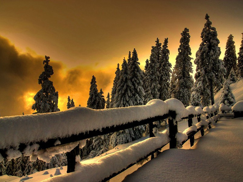 奇异的悬棺-神奇的古代墓葬