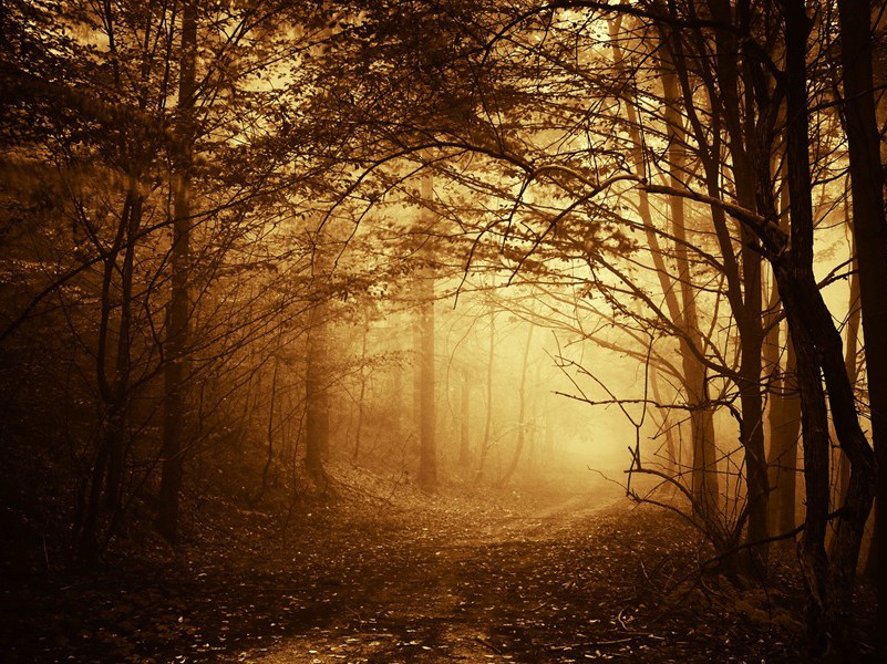 帕伦克古城-神奇的古代墓葬