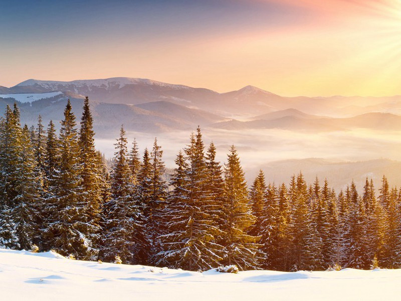 耶稣裹尸布-神秘的力量