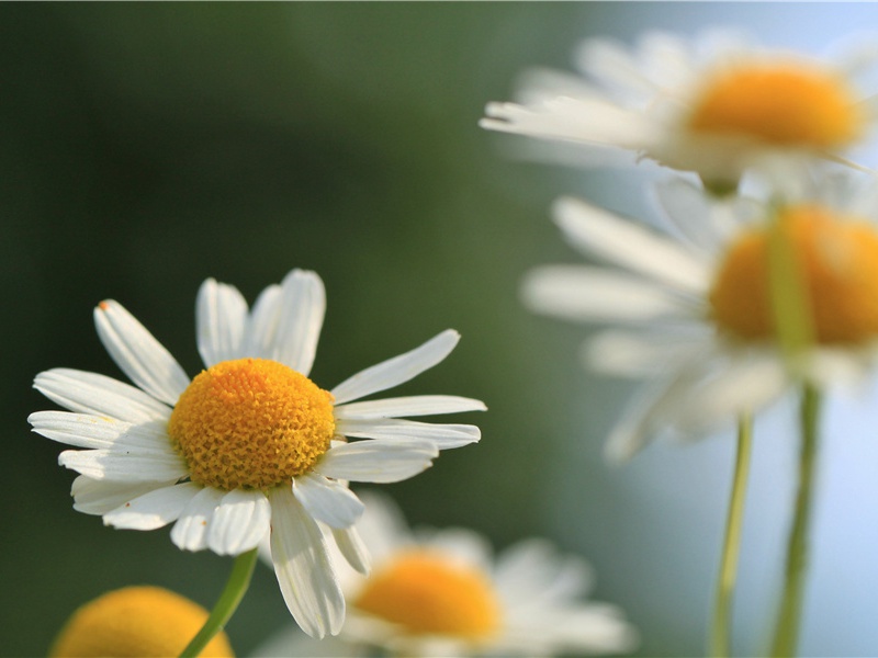 古墓地图之谜-神秘的力量