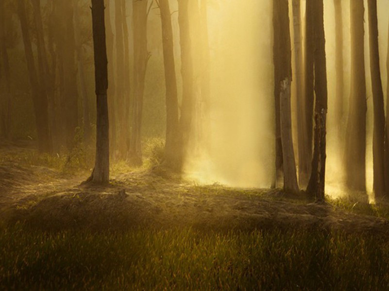 神秘加工物-神秘的力量